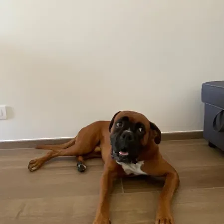 Settimo Cielo Cir 0199 アオスタ