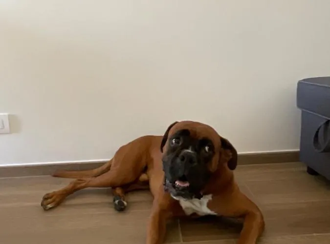 Settimo Cielo Cir 0199 Aosta